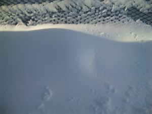 忍法雲隠れならぬ雪隠れの術