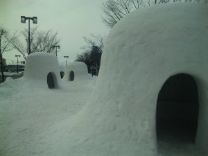 すごい!　各社自慢の新作ばかりですね。