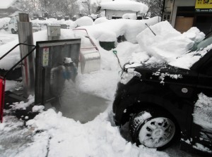 投雪