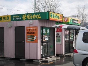 人気者