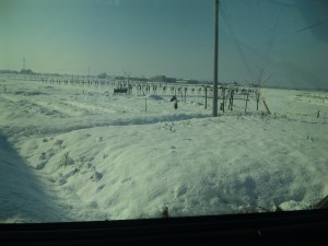 積雪