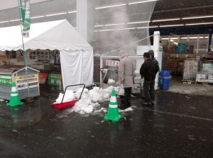 注目の的